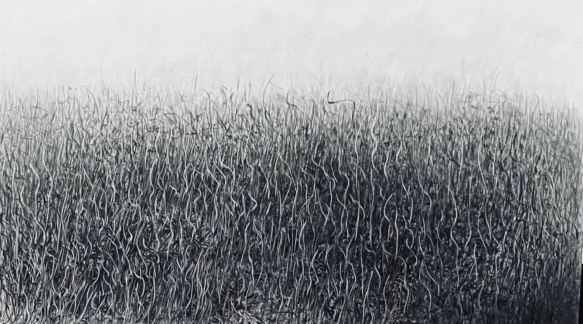 Fei Li, 2023, No.24 W98cm x L67cm