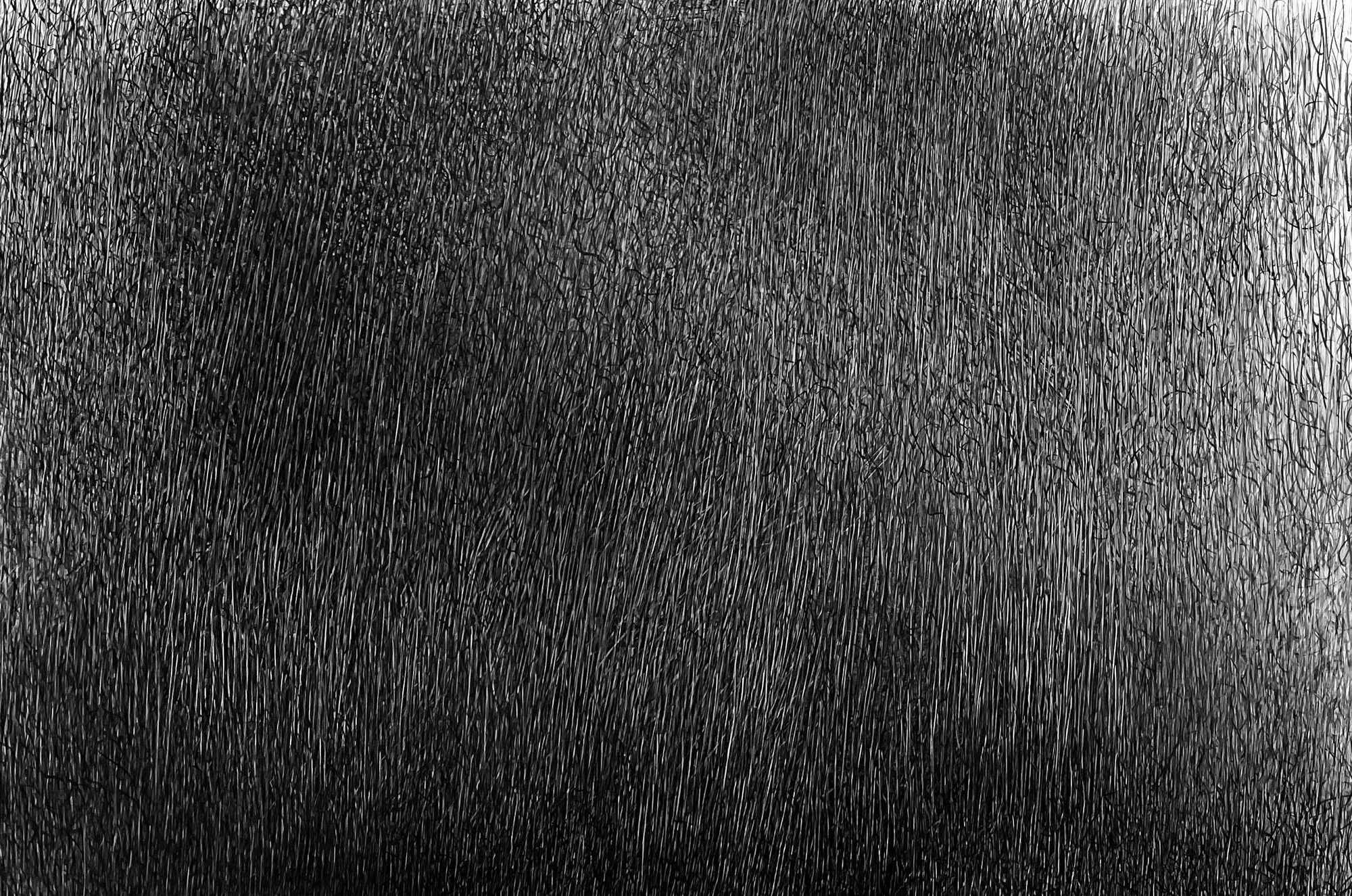 Fei Li, 2023, No.3 W67cm x L99cm