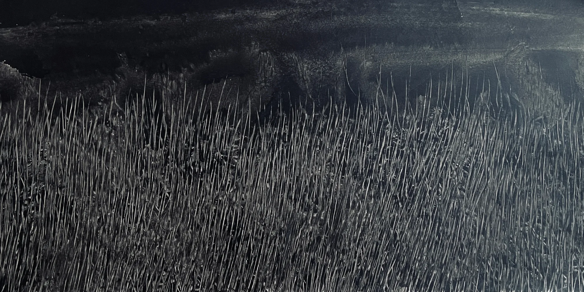 Fei Li, 2023, No.20 W73cm x L37cm