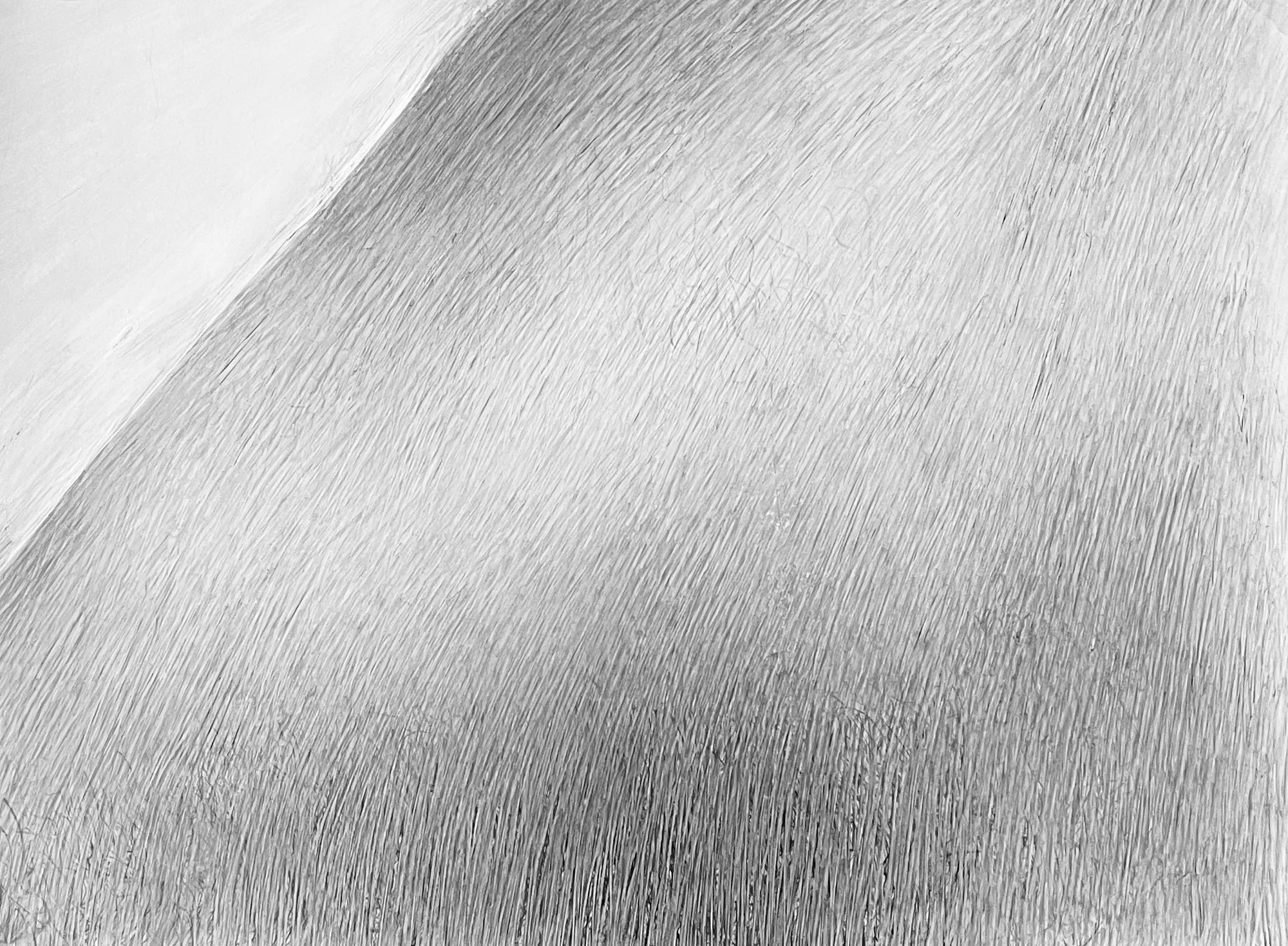 Ink painting by Fei Li / 李菲水墨作品