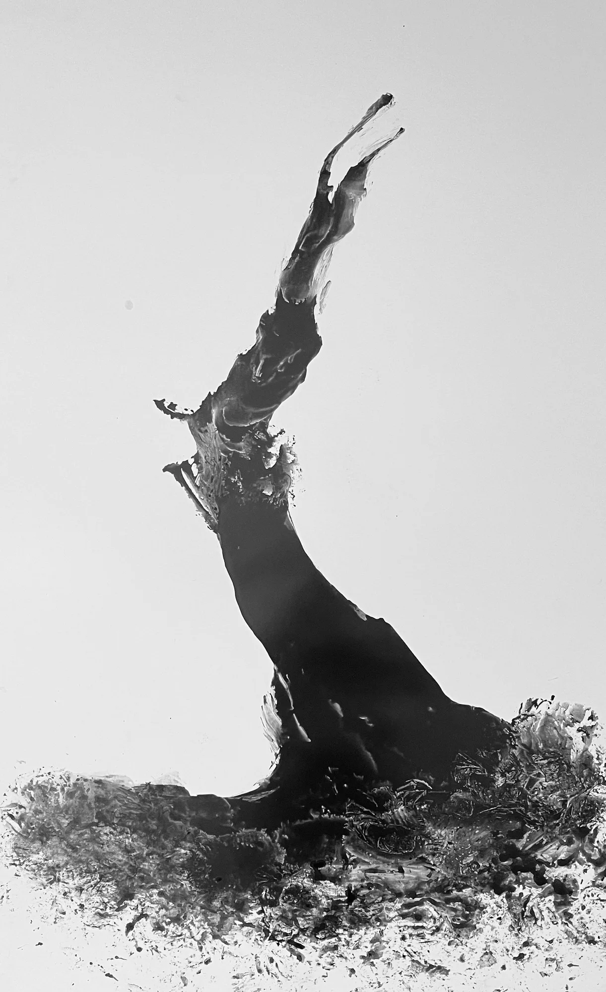 Fei Li, 2023, No.4 W49cm x L81cm