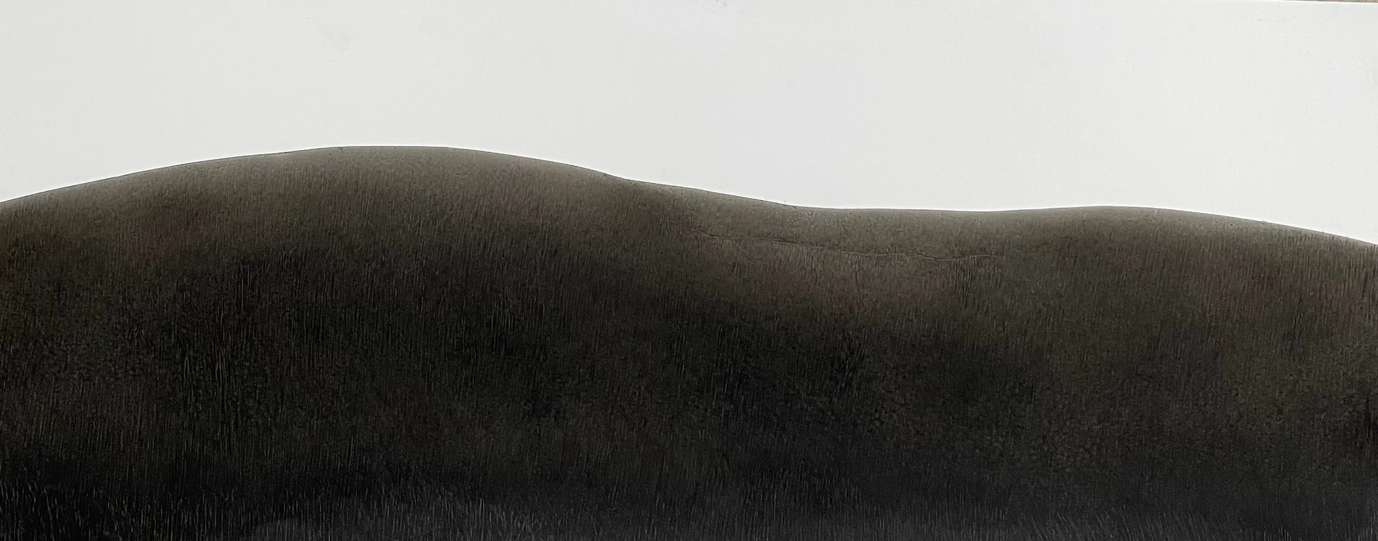 Fei Li, 2022, No.2 W96cm x L40cm