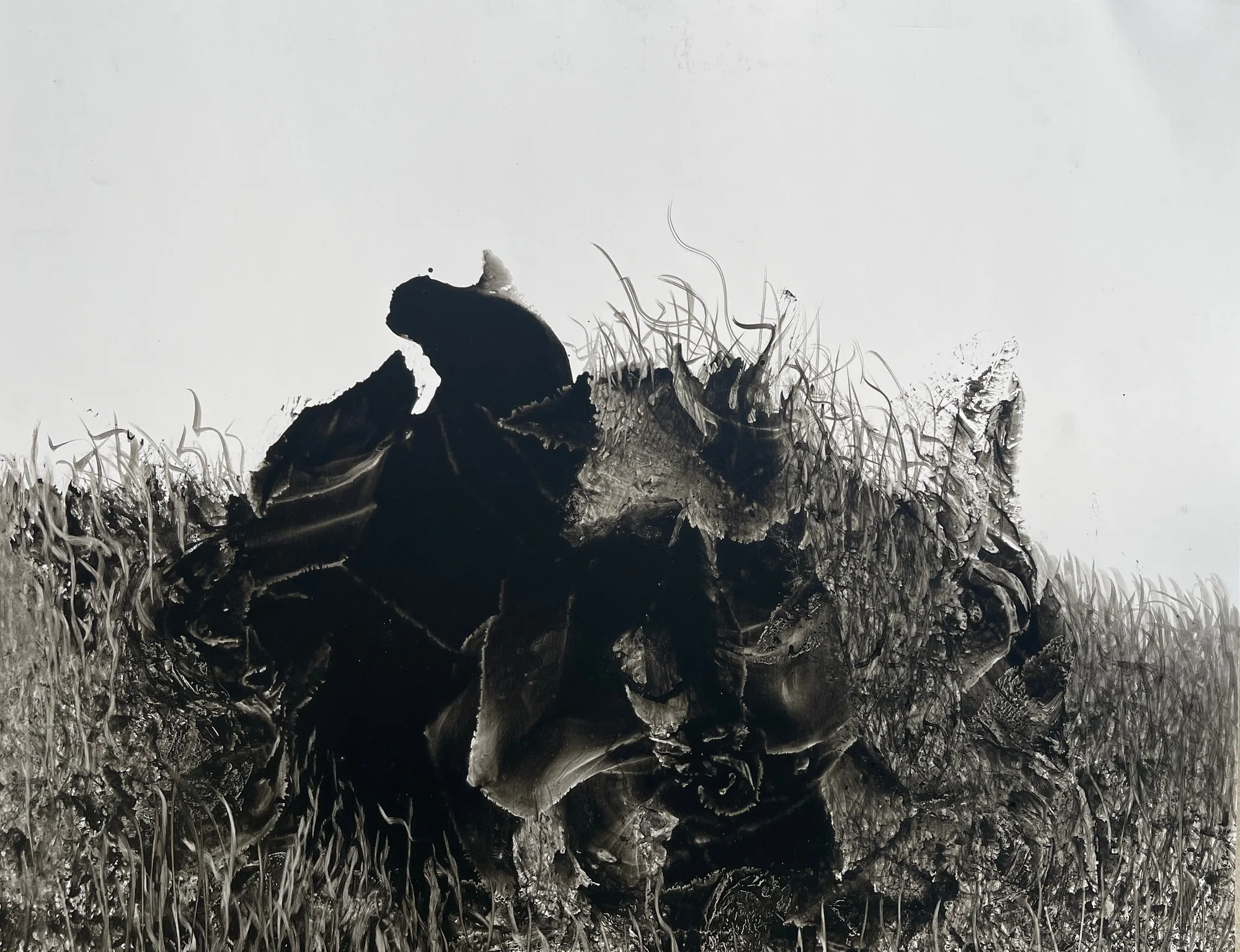 Fei Li, 2022, No.20 W48cm x L41cm