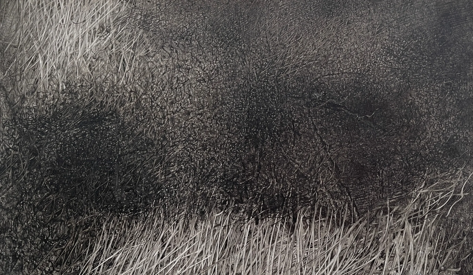 Fei Li, 2023, No.13 W35cm x L20cm