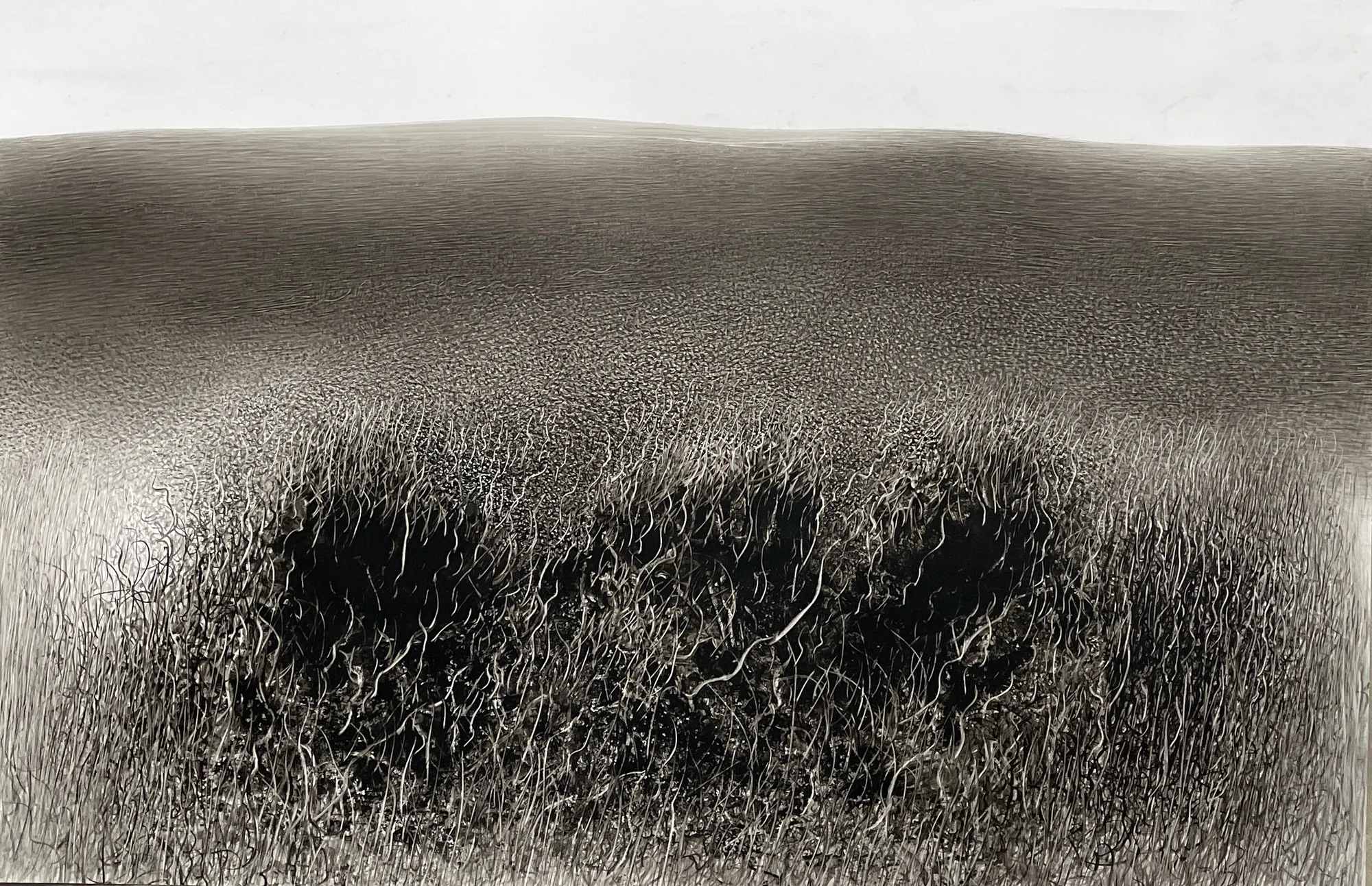 Fei Li, 2024, N0.11 W94cm x L62cm