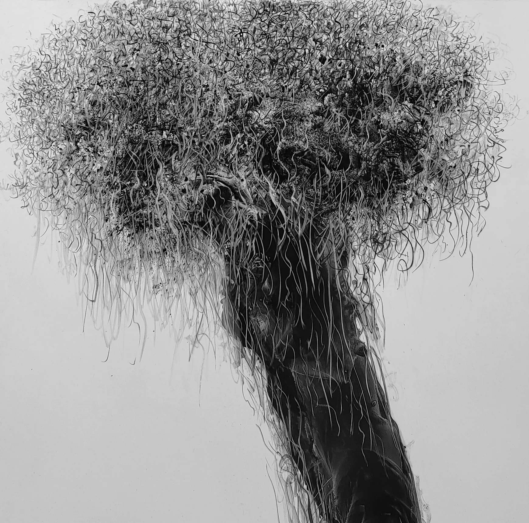 Fei Li, collaboration, No.4