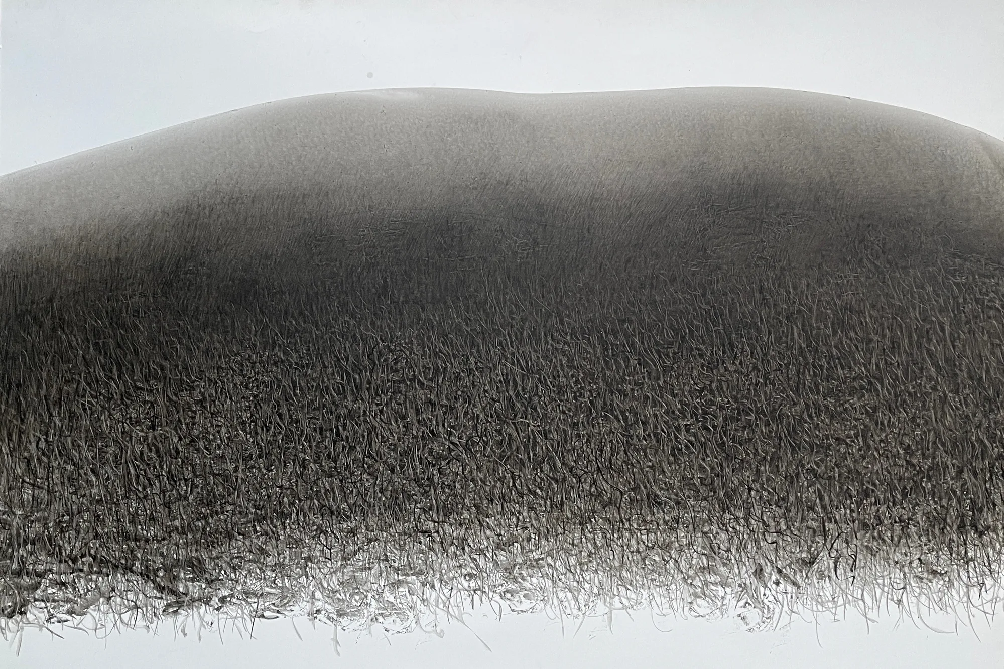 Fei Li, 2023, No.19 W108cm x L80cm