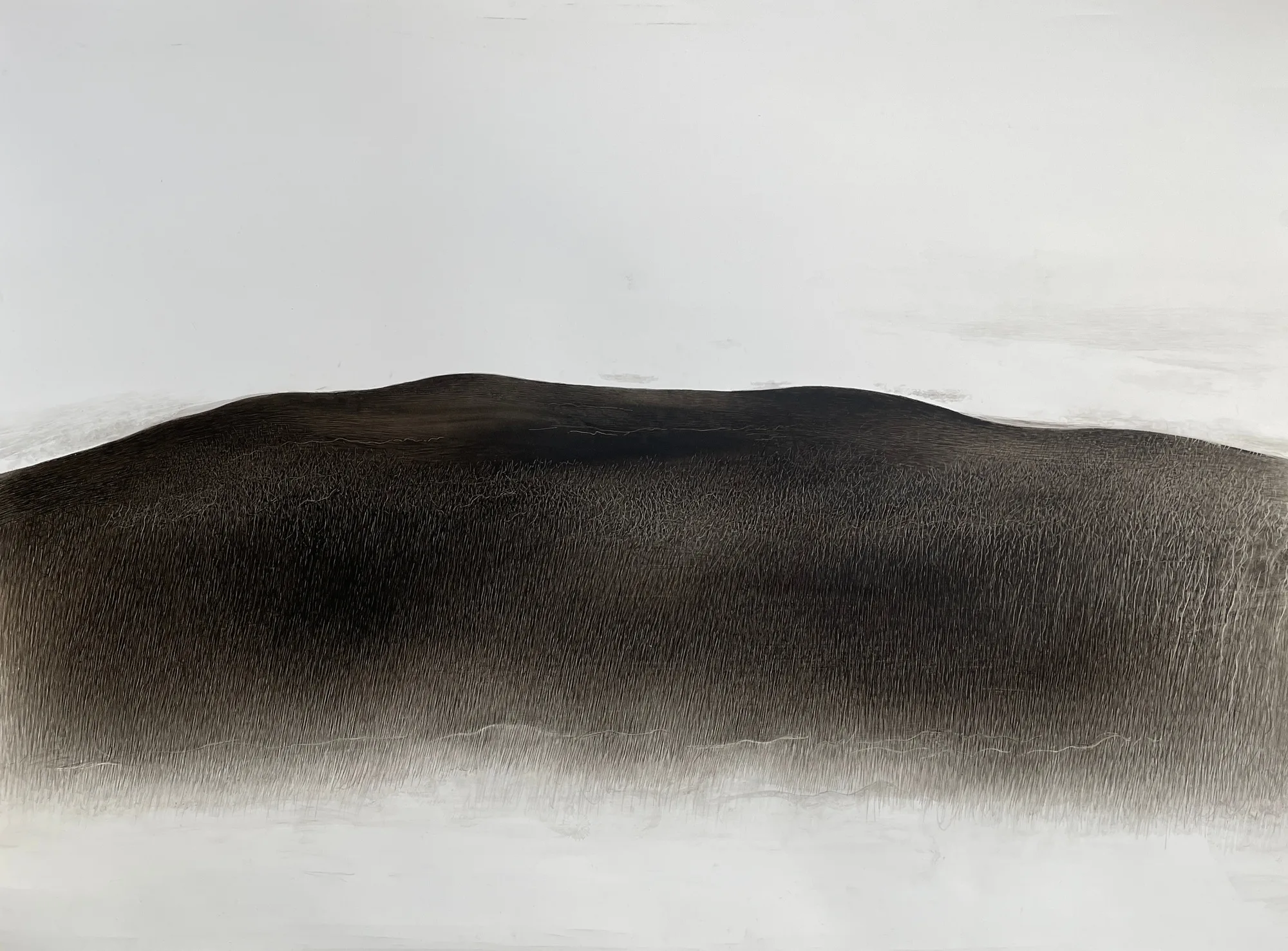 Fei Li, 2024, No.5 W119cm x L88cm