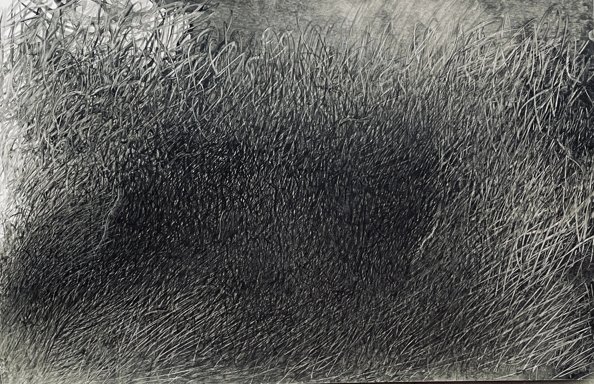 Fei Li, 2022, No.14 W56cm x L37cm