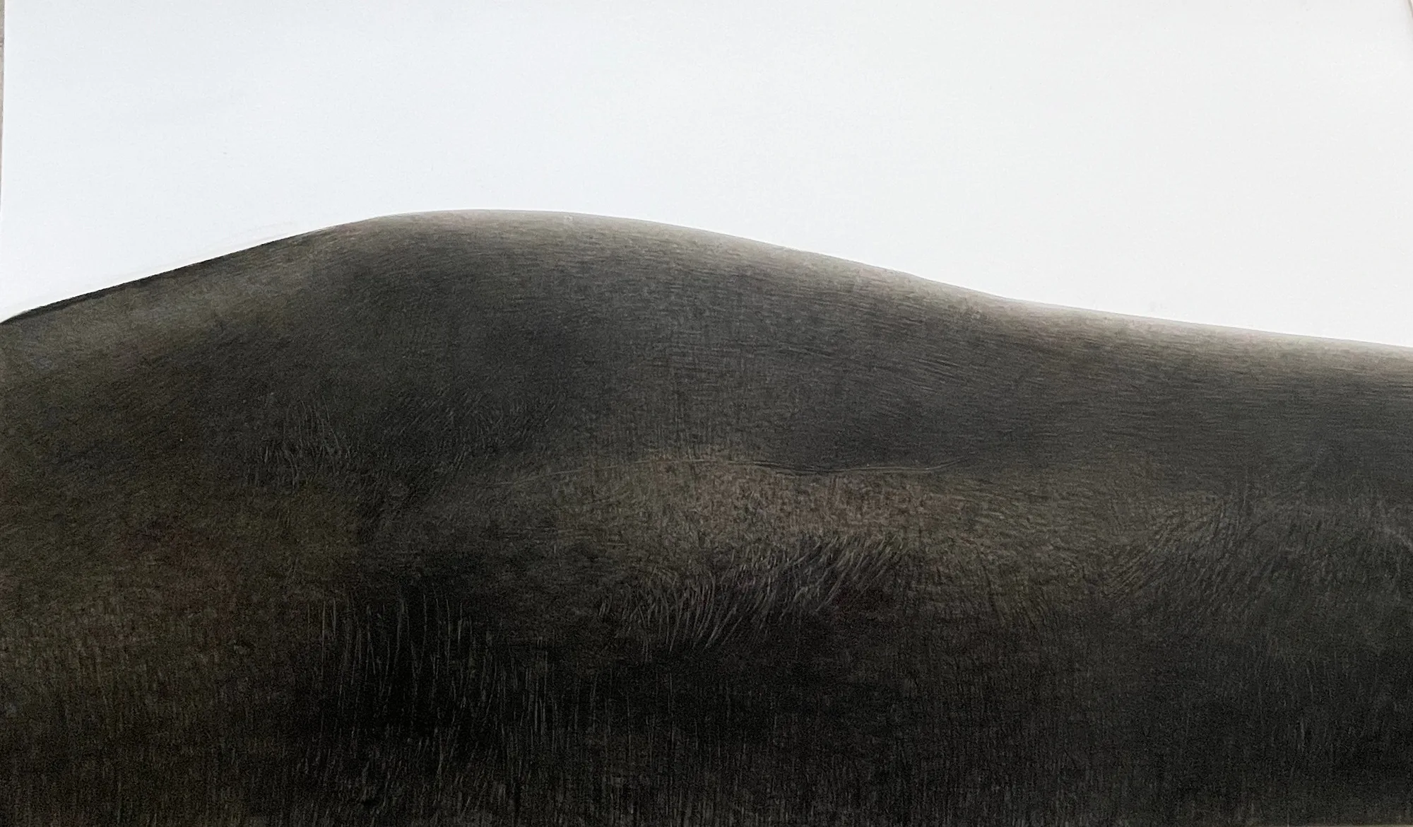 Fei Li, 2022, No.12 W74cm x L44cm