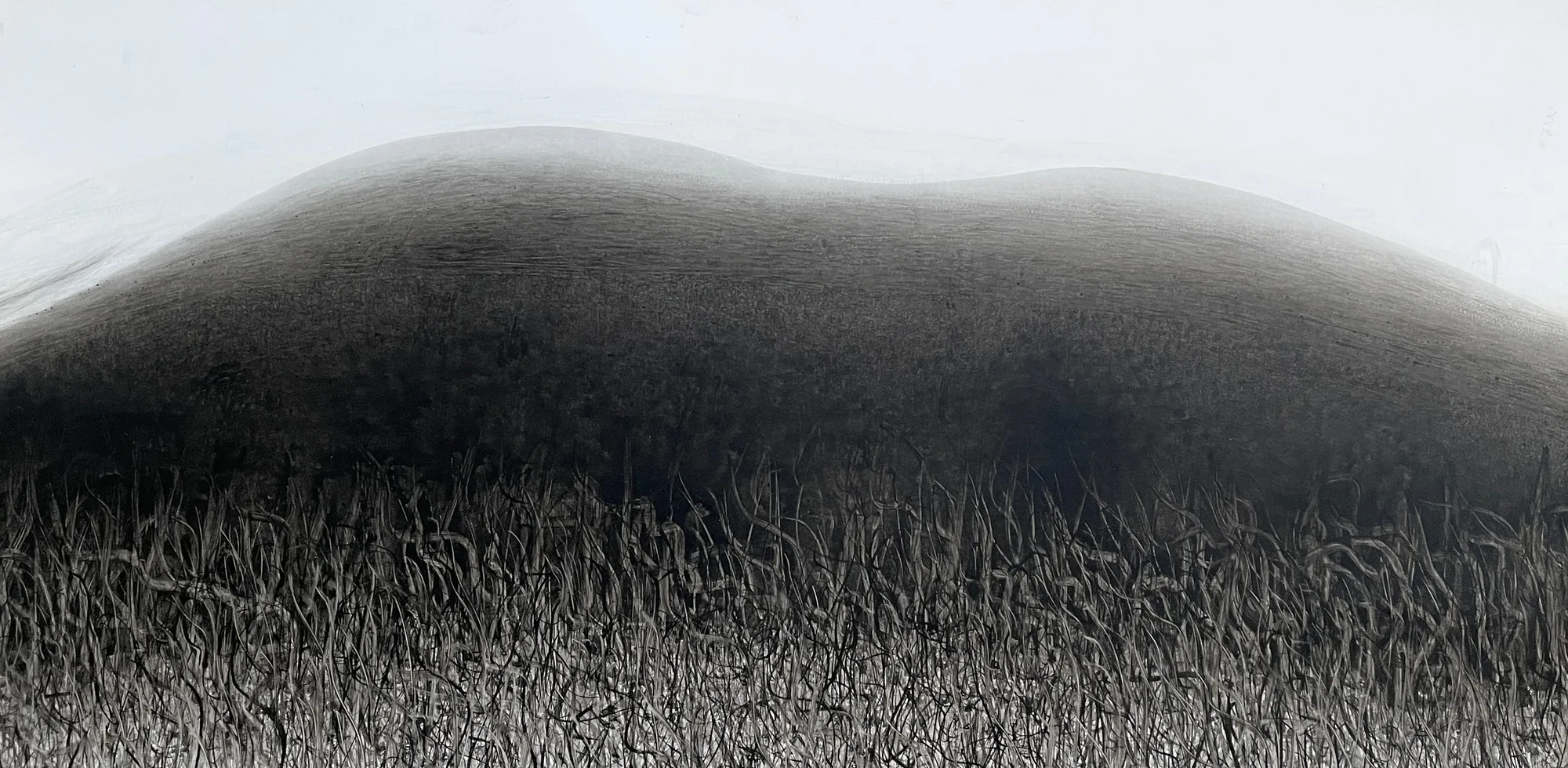 Fei Li, 2023, No.22 W109cm x L55cm