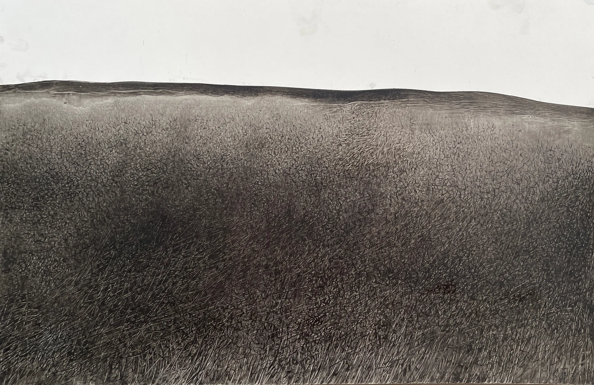 Fei Li, 2022, No.6 W41.5cm x L27cm