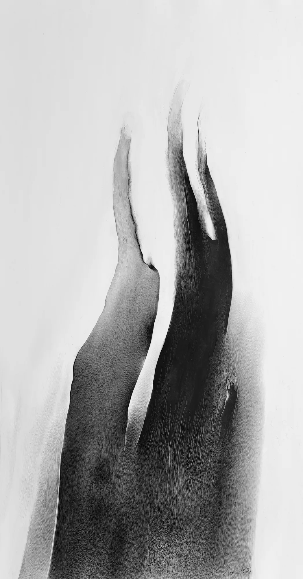 Fei Li, collaboration, No.6