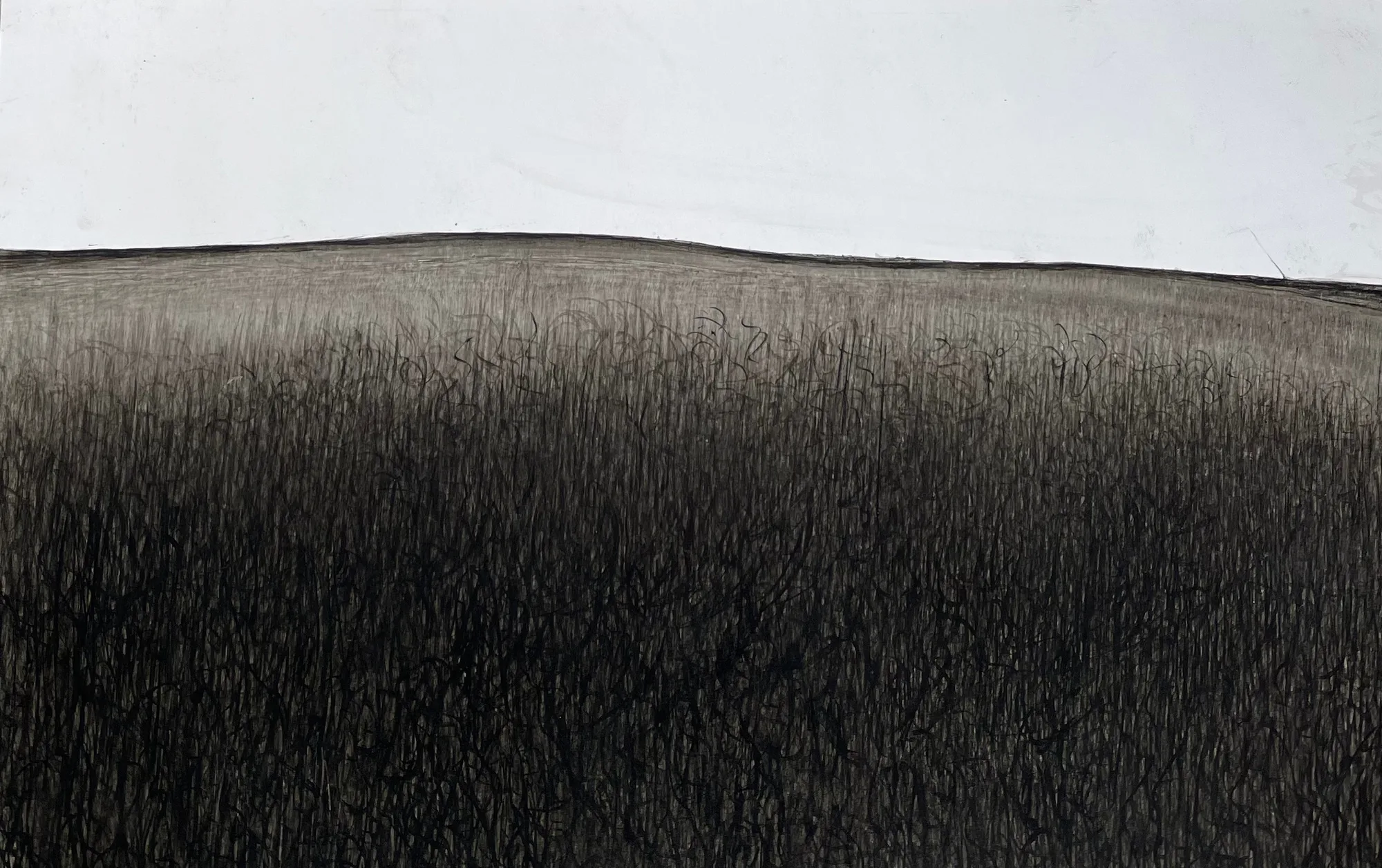 Fei Li, 2021, No.2 W42cm x L28cm