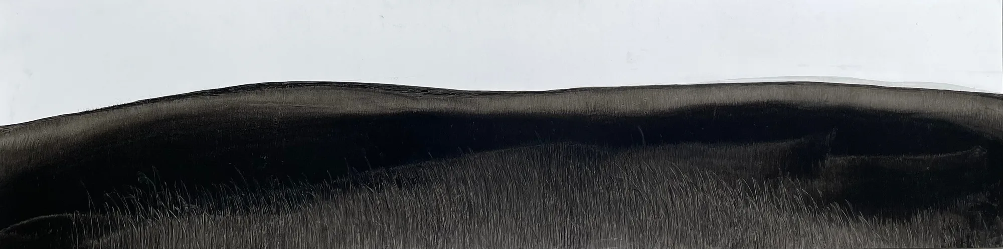 Fei Li, 2022, No.1 W87cm x L27cm