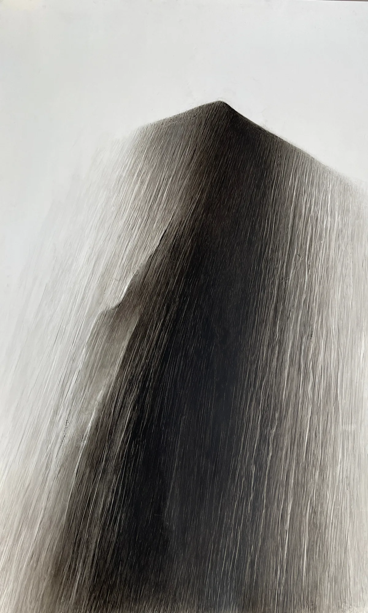 Fei Li, 2024, No.7 W71cm x L110cm