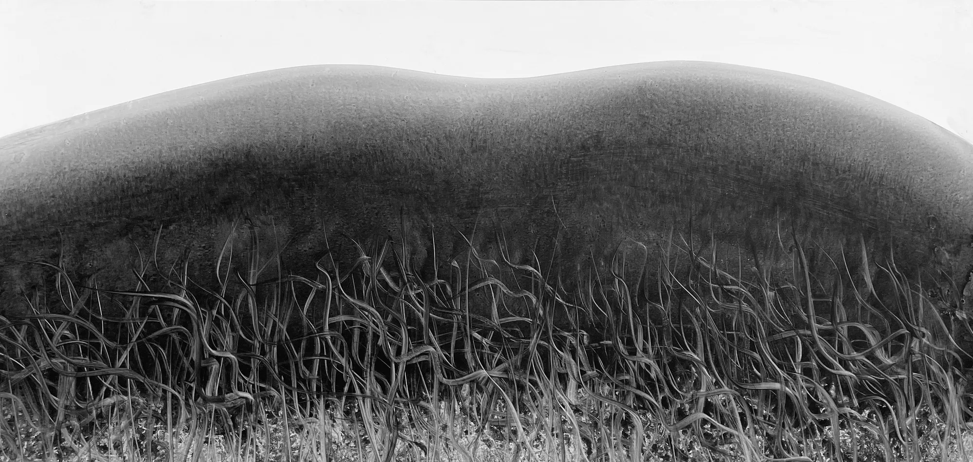Fei Li, 2023, No.14 W102cm x L89cm
