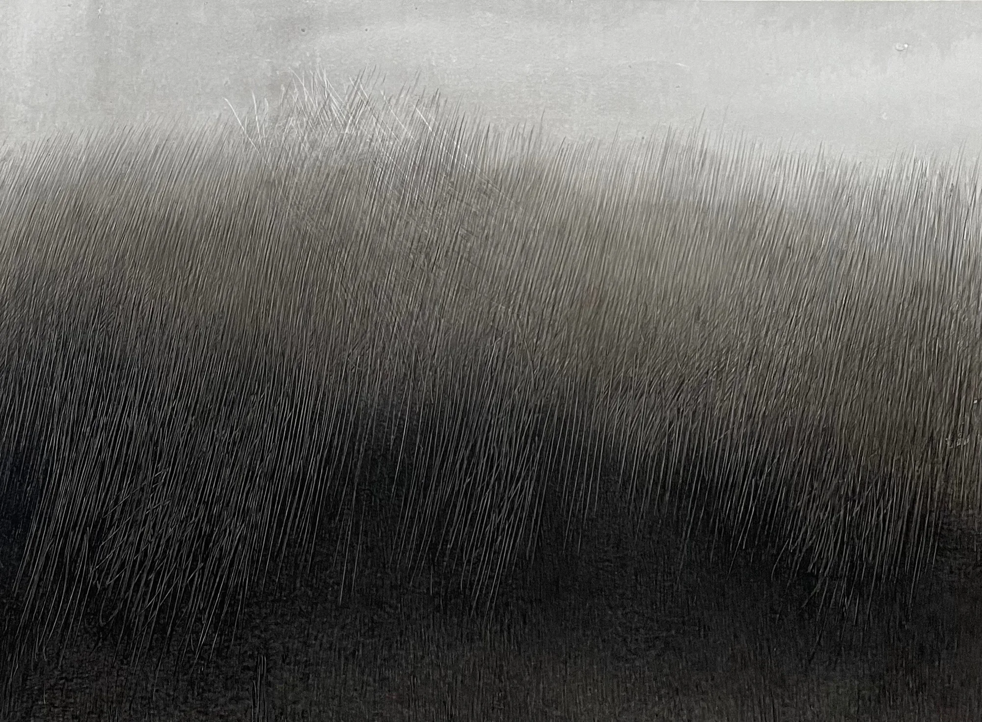 Fei Li, 2022, No.21 W62cm x L45cm
