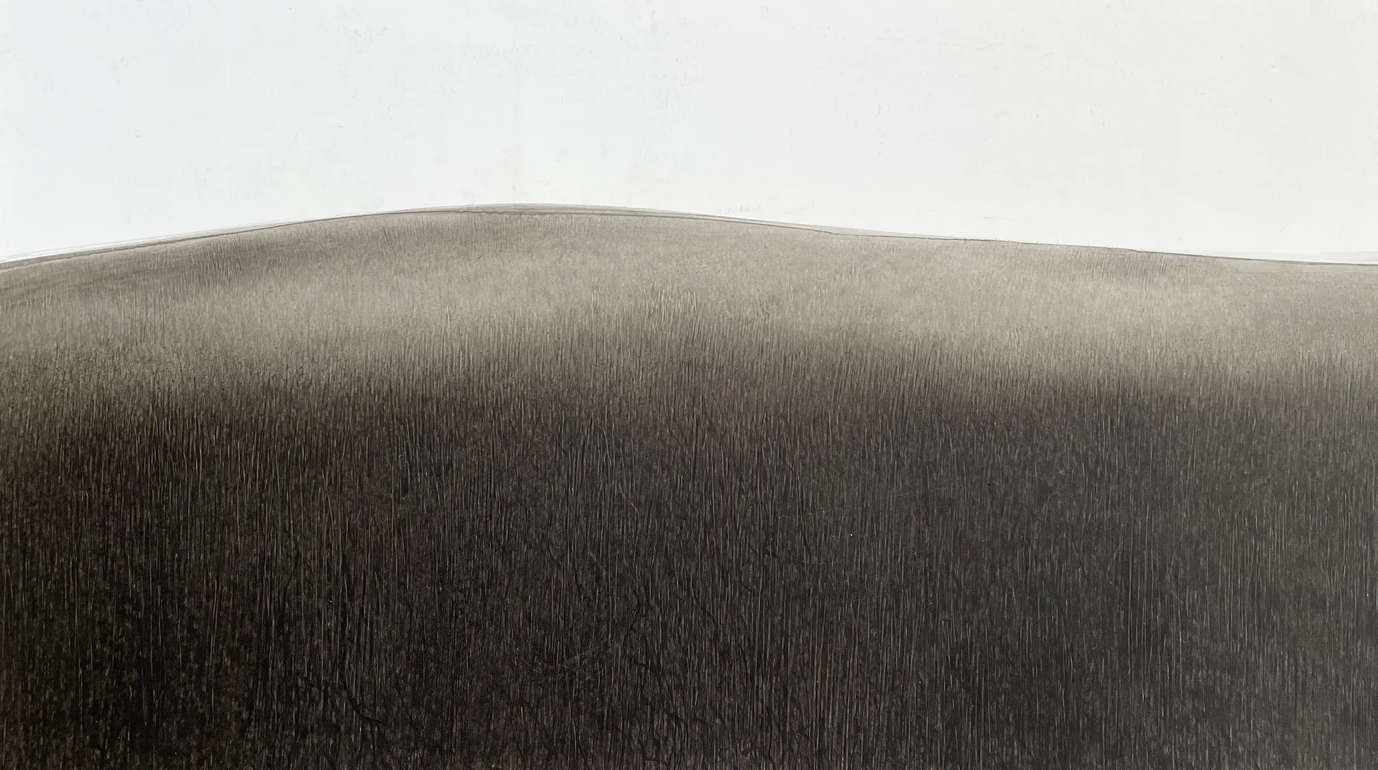 Fei Li, 2022, No.11 W67cm x L39cm