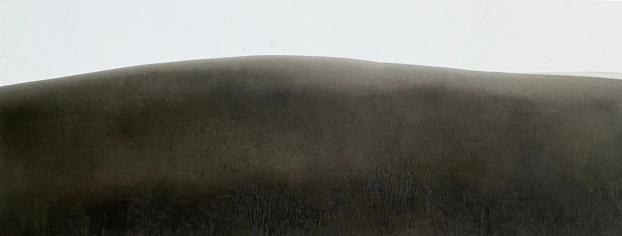 Fei Li, 2022, No.10 W89cm x L35cm