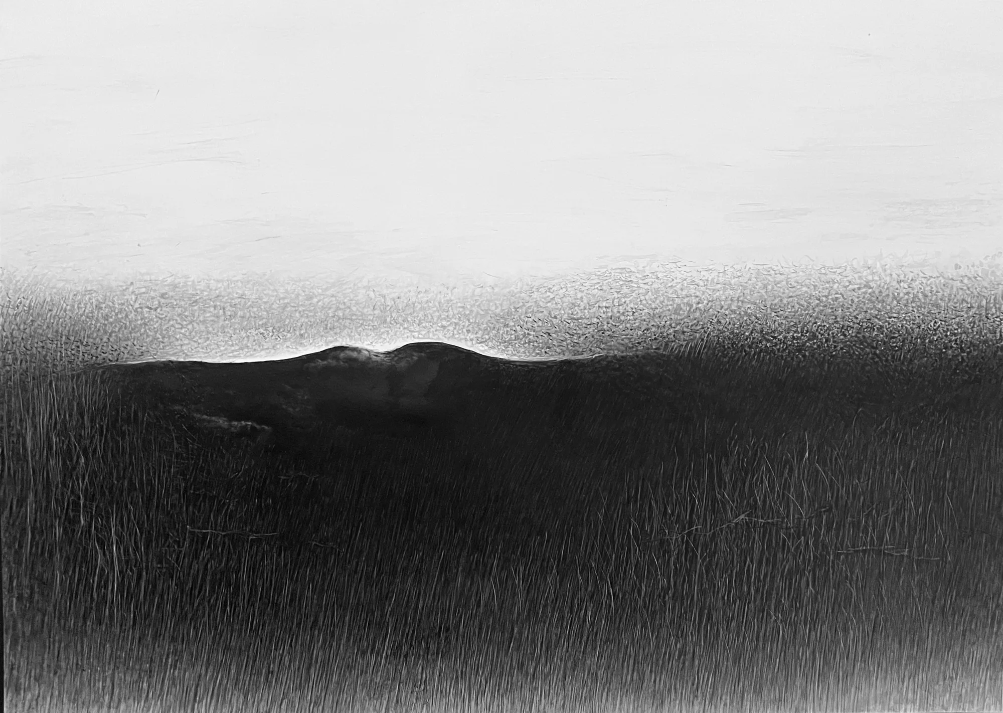 Fei Li, 2024, No.4 W80cm x L60cm